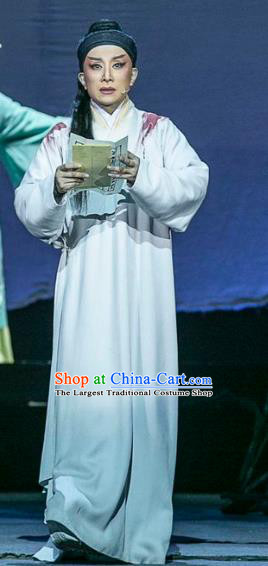 Wang Yangming Chinese Yue Opera Young Male Costumes and Headwear Shaoxing Opera Scholar Garment Apparels