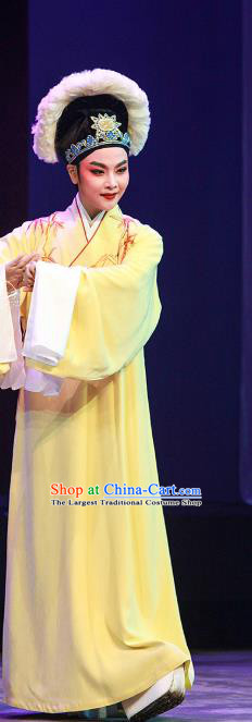 Legend of White Snake Chinese Yue Opera Scholar Apparels Costumes and Headwear Shaoxing Opera Young Male Xu Xian Embroidered Yellow Robe Garment