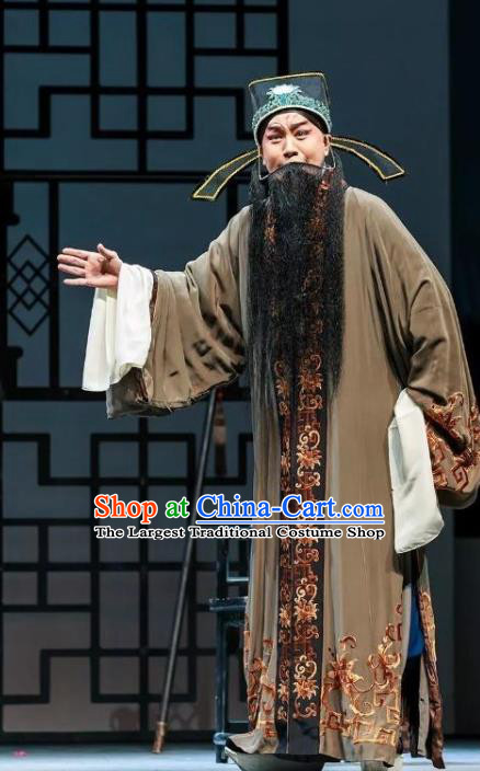 Chinese Kun Opera Elderly Male Jia Zheng Apparels and Headwear Dream of Red Mansions Garment Costumes Kunqu Opera Laosheng Landlord Clothing