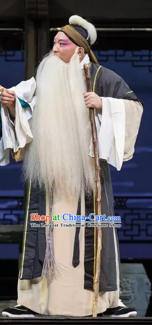 the Legend of Washing the Silk Gauze Chinese Kun Opera Elderly Male Apparels Garment Costumes and Headwear Kunqu Opera Old Man Clothing