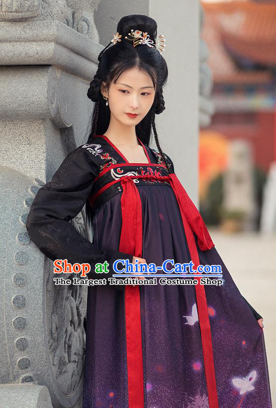 Chinese Traditional Tang Dynasty Princess Hanfu Dress Ancient Swordsman Embroidered Historical Costumes for Women
