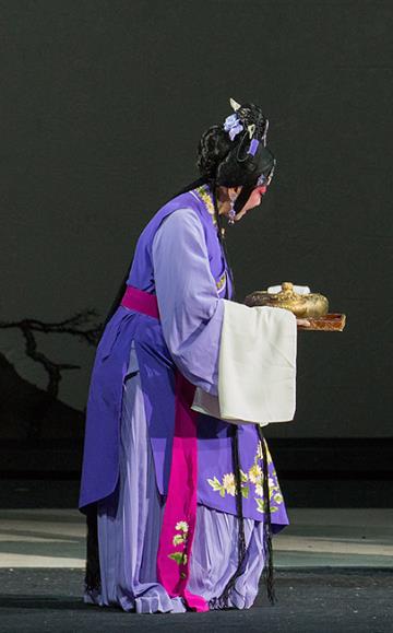 Chinese Kun Opera Woman Purple Dress Apparels Costumes and Hair Accessories Continue the Pipa Traditional Kunqu Opera Young Lady Garment