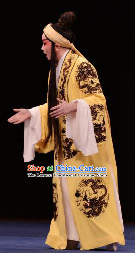 The Prophetic Paintings Chinese Kun Opera Xiaosheng Apparels Costumes and Headwear Kunqu Opera Garment Young Male Yellow Clothing