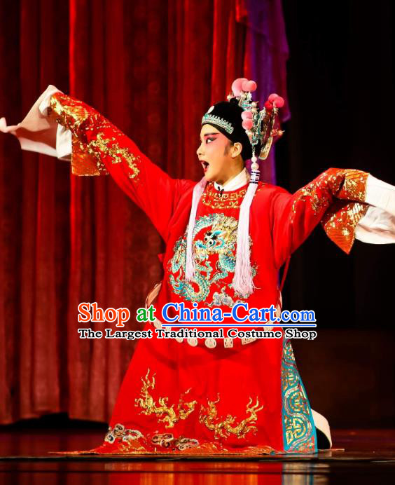 Chinese Huangmei Opera Xiaosheng Female Consort Prince Garment Costumes and Headwear An Hui Opera Scholar Li Zhaoting Apparels Young Male Clothing