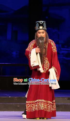 Chinese Huangmei Opera Elderly Man Female Consort Prince Garment Costumes and Headwear An Hui Opera Apparels Chancellor Liu Wenju Clothing