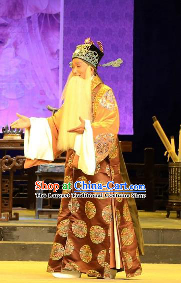 Chinese Huangmei Opera Chancellor Liu Wenju Female Consort Prince Garment Costumes and Headwear An Hui Opera Elderly Male Apparels Clothing