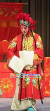 Chinese Ping Opera Bride Wedding Garment Costumes and Headdress Jie Nv Qiao Pei Traditional Pingju Opera Hua Tan Red Dress Apparels