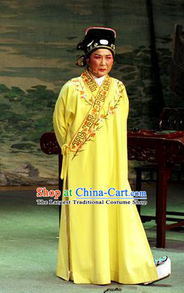 Chinese Yue Opera Scholar Zhu Zhishan Costumes Flirting Garment Shaoxing Opera Young Male Role Apparels Yellow Robe and Hat