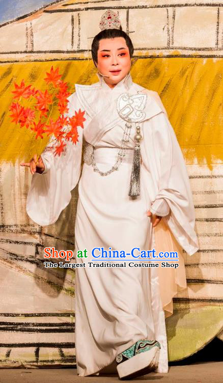 Chinese Yue Opera Prince Costumes and Headwear Hu Die Meng Butterfly Dream Shaoxing Opera Scholar Young Male Xiaosheng Apparels Garment