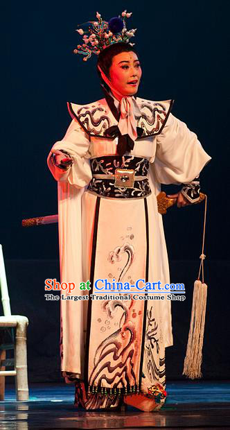 Chinese Yue Opera Princess Shanhu Costumes and Headwear Hai Ming Zhu Shaoxing Opera Young Male Apparels Niche Garment