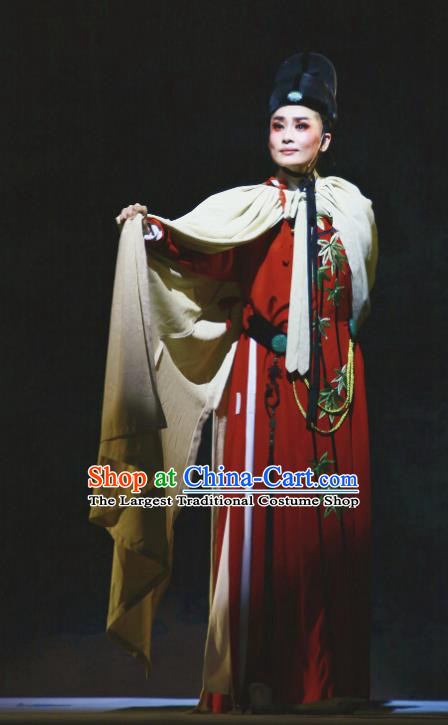 Chinese Yue Opera Young Man Liu Yong Garment and Headwear Shaoxing Opera Xiao Sheng Costumes Apparels Scholar Clothing with Cape
