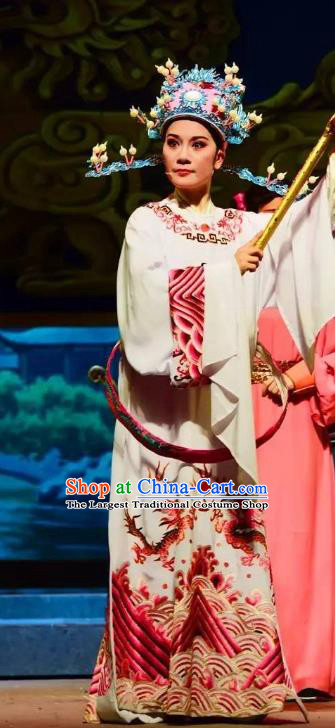 Chinese Yue Opera Li Mei Yue Young Male Clothing and Hat Shaoxing Opera Costumes Xiaosheng Apparels Garment Number One Scholar Official Robe