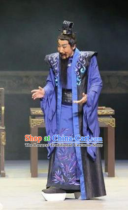The Butterfly Lovers Chinese Ping Opera Laosheng Costumes and Hat Pingju Opera Elderly Male Zhu Gongyuan Apparels Landlord Clothing