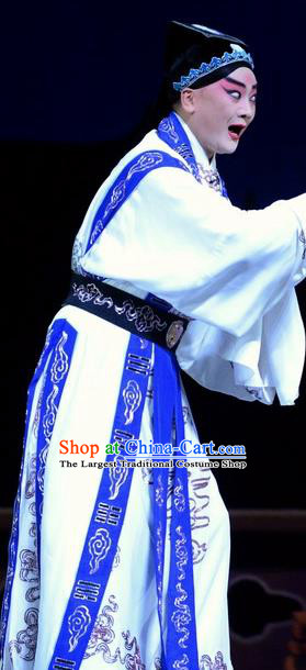 Tian Dao Xing Chinese Peking Opera Xiaosheng Garment Costumes and Headwear Beijing Opera Minister Apparels Young Male Dong Hong Clothing
