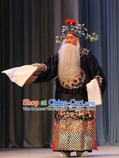 Ba Zhen Tang Chinese Peking Opera Old Official Zhang Wenda Garment Costumes and Headwear Beijing Opera Elderly Male Apparels Clothing