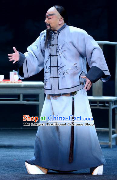 Imperial Envoy Chinese Peking Opera Laosheng Lin Zexu Garment Costumes and Headwear Beijing Opera Elderly Male Apparels Qing Dynasty Clothing