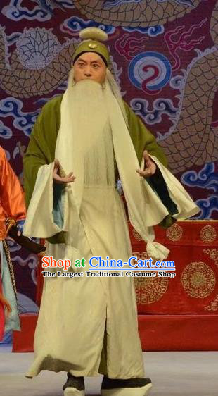 Shen Ting Ling Chinese Peking Opera Laosheng Apparels Costumes and Headpieces Beijing Opera Garment Old Man Clothing