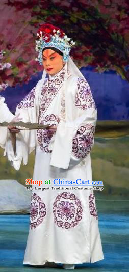 Ye Zhu Lin Chinese Peking Opera Martial Male Apparels Costumes and Headpieces Beijing Opera Wusheng Garment Swordsman Lin Chong Clothing