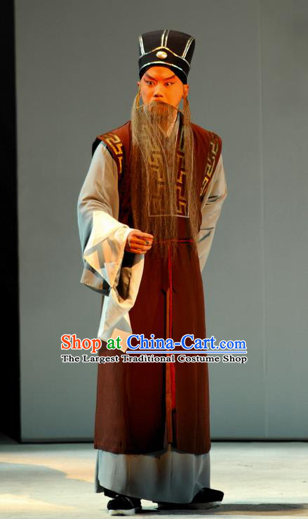 Tang Wan Chinese Peking Opera Poet Lu You Apparels Costumes and Headpieces Beijing Opera Elderly Male Garment Laosheng Clothing