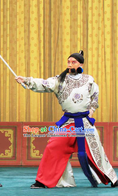 Bai Shui Tan Chinese Peking Opera Swordsman Liu Renjie Apparels Costumes and Headpieces Beijing Opera Wusheng Garment Takefu Clothing