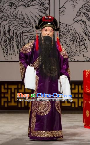 Long Tan Bao Luo Chinese Peking Opera Martial Man Bao Hongxun Apparels Costumes and Headpieces Beijing Opera Takefu Garment Clothing