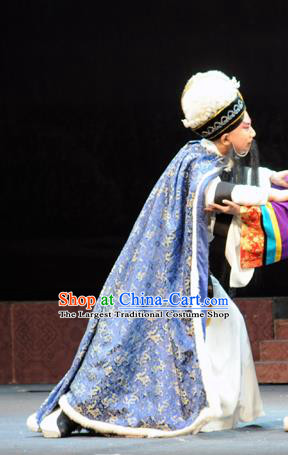 Bei Feng Jin Chinese Peking Opera Elderly Male Apparels Costumes and Headpieces Beijing Opera Laosheng Garment Official Shi Yisheng Clothing