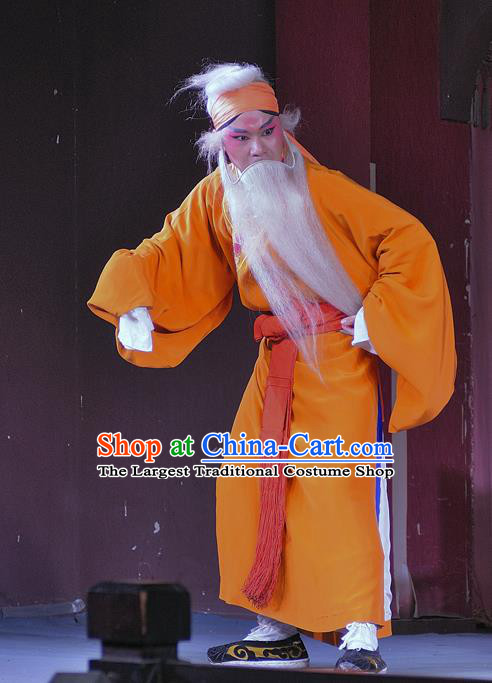 Jin Dian Shen La Chinese Sichuan Opera Laosheng Apparels Costumes and Headpieces Peking Opera Old Servant Chen Rong Garment Clothing