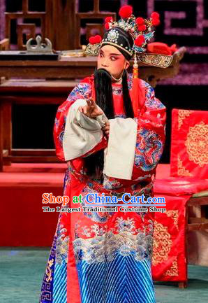 Qin Xianglian Chinese Sichuan Opera Laosheng Apparels Costumes and Headpieces Peking Opera Elderly Male Garment Scholar Chen Shimei Clothing