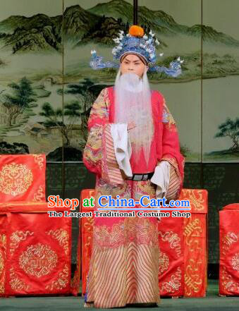 Yu Bei Pavilion Chinese Peking Opera Old Minister Garment Costumes and Headwear Beijing Opera Laosheng Apparels Elderly Official Clothing