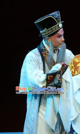 Xin Zhui Chinese Peking Opera Prime Minister Li Cang Garment Costumes and Headwear Beijing Opera Laosheng Apparels Elderly Male Clothing