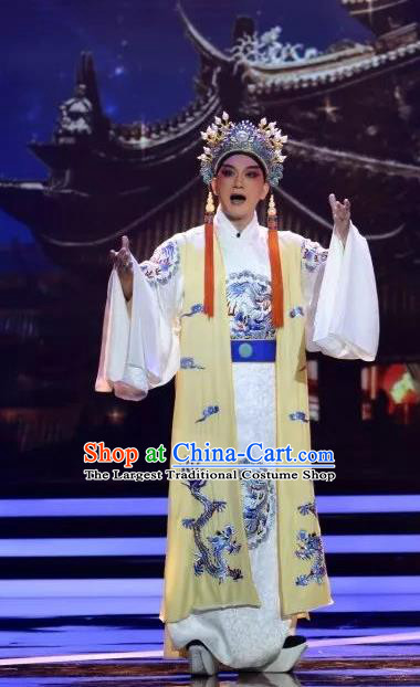 Zhen Guan Flourishing Age Chinese Peking Opera Emperor Li Shimin Garment Costumes and Headwear Beijing Opera Young Male Clothing Xiaosheng Apparels