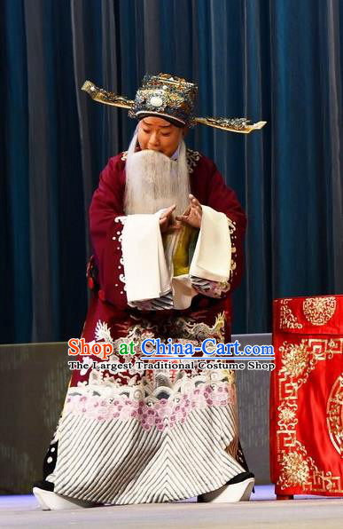 A Honey Trap Chinese Peking Opera Old Minister Garment Costumes and Headwear Beijing Opera Apparels Elderly Male Official Clothing
