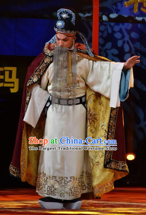 Wu Zetian and Di Renjie Chinese Shanxi Opera Elderly Male Apparels Costumes and Headpieces Traditional Jin Opera Official Garment Tang Dynasty Minister Clothing