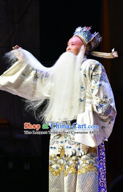 Fifteen Strings of Cash Chinese Shanxi Opera Laosheng Apparels Costumes and Headpieces Traditional Jin Opera Elderly Male Garment Old Official Clothing
