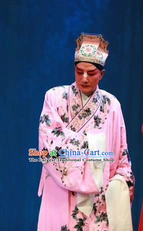 Story About A Wall Chinese Lu Opera Scholar Apparels Costumes and Headpieces Traditional Shandong Opera Clown Garment Zhang Erguai Pink Robe Clothing
