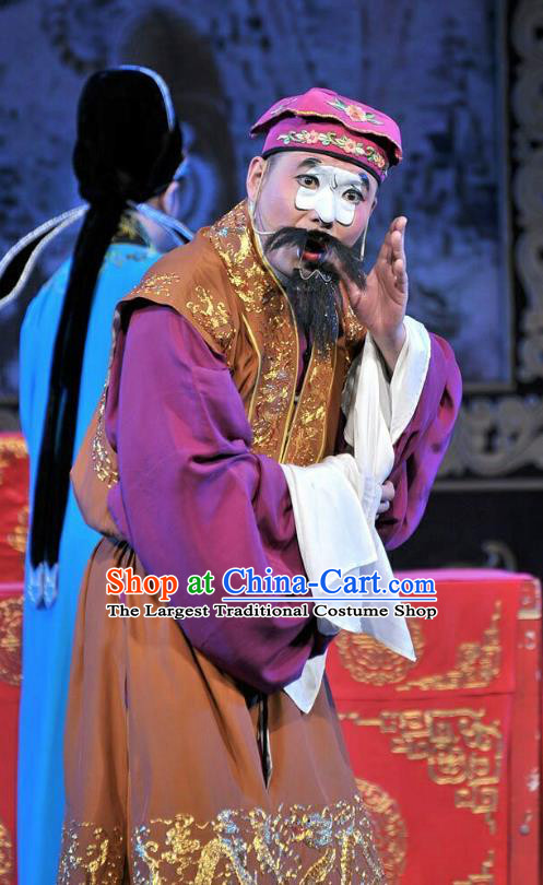 Forced Marriage Chinese Lu Opera Clown Apparels Costumes and Headpieces Traditional Shandong Opera Chou Role Garment Adviser Clothing