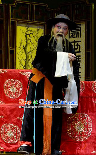 Baili Xi Ren Qi Chinese Hubei Hanchu Opera Old Man Apparels Costumes and Headpieces Traditional Han Opera Elderly Male Garment Laosheng Clothing