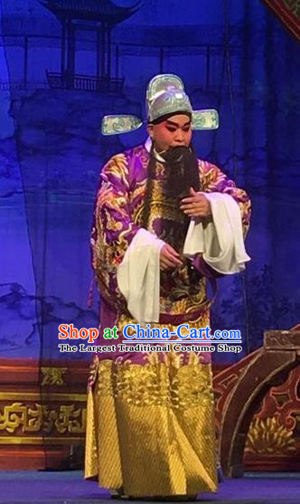 Story of the Violet Hairpin Chinese Guangdong Opera Grand Commandant Apparels Costumes and Headpieces Traditional Cantonese Opera Elderly Male Garment Clothing