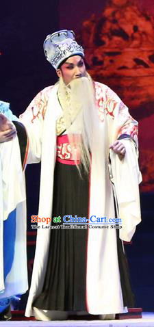 Gao Emperor of Han Chinese Guangdong Opera Elderly Male Apparels Costumes and Headpieces Traditional Cantonese Opera Laosheng Garment Lord Liu Bang Clothing