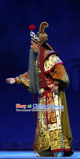 Gao Emperor of Han Chinese Guangdong Opera Elderly Male Apparels Costumes and Headpieces Traditional Cantonese Opera General Garment Armor Clothing