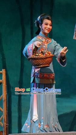 Chinese Cantonese Opera Country Woman Garment Zhuang Yuan Lin Zhaotang Costumes and Headdress Traditional Guangdong Opera Young Female Apparels Mistress Dress