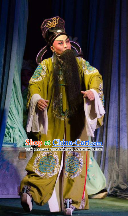 Chinese Guangdong Opera Elderly Male Apparels Costumes and Headwear Traditional Cantonese Opera Old Gentleman Garment Laosheng Clothing