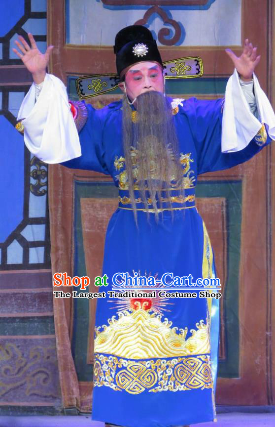 Wu Nv Bai Shou Chinese Guangdong Opera Laosheng Apparels Costumes and Headwear Traditional Cantonese Opera Elderly Male Garment Official Yang Jikang Clothing