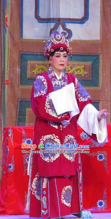 Chinese Cantonese Opera Rich Dame Garment Wu Nv Bai Shou Costumes and Headdress Traditional Guangdong Opera Elderly Female Apparels Pantaloon Dress
