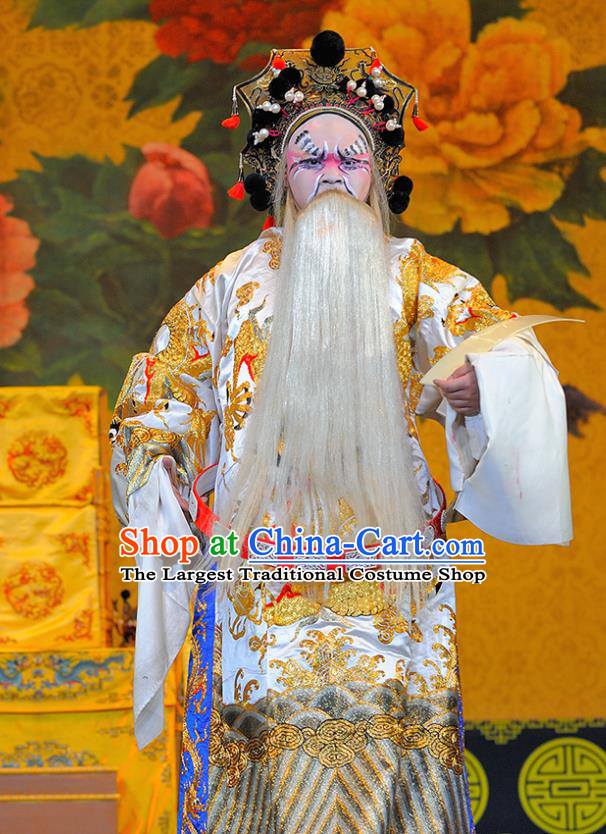 Sui Chao Luan Chinese Sichuan Opera Official Yang Lin Apparels Costumes and Headpieces Peking Opera Highlights Elderly Male Garment Painted Role Clothing