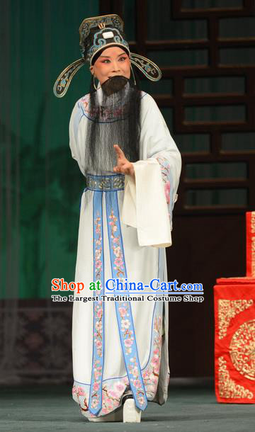 Taibai Drunk Write Chinese Bangzi Opera Scholar Li Bai Apparels Costumes and Headpieces Traditional Hebei Clapper Imperial Academy Poet Garment Elderly Male Clothing