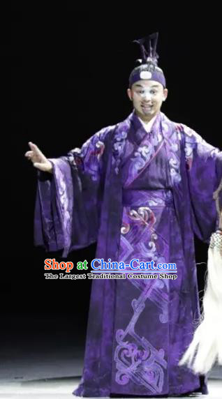 Luo Xiahong Chinese Sichuan Opera Minister Apparels Costumes and Headpieces Peking Opera Highlights Clown Garment Purple Clothing