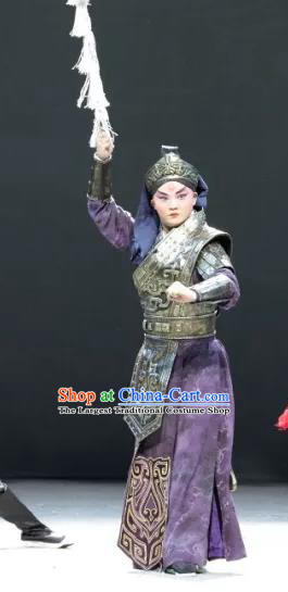 Luo Xiahong Chinese Sichuan Opera General Apparels Costumes and Headpieces Peking Opera Highlights Wusheng Garment Soldier Clothing