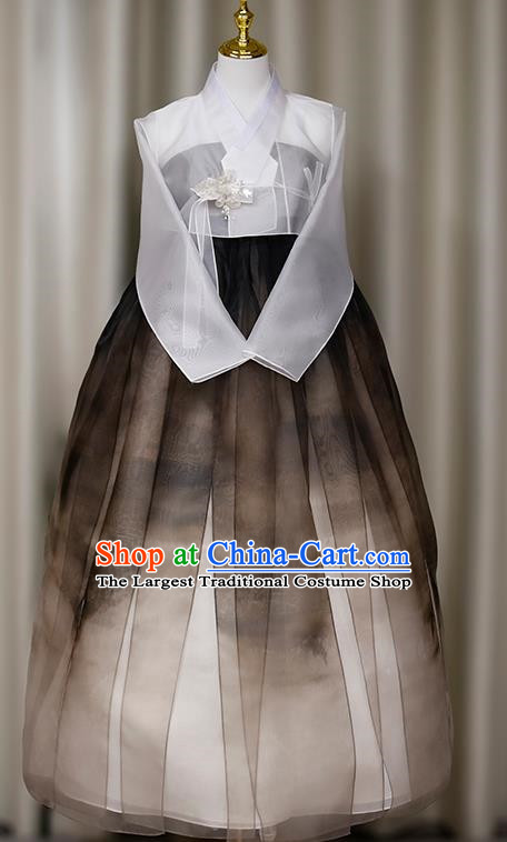 Korean Ladies Hanbok Palace Style Princess Style Dress