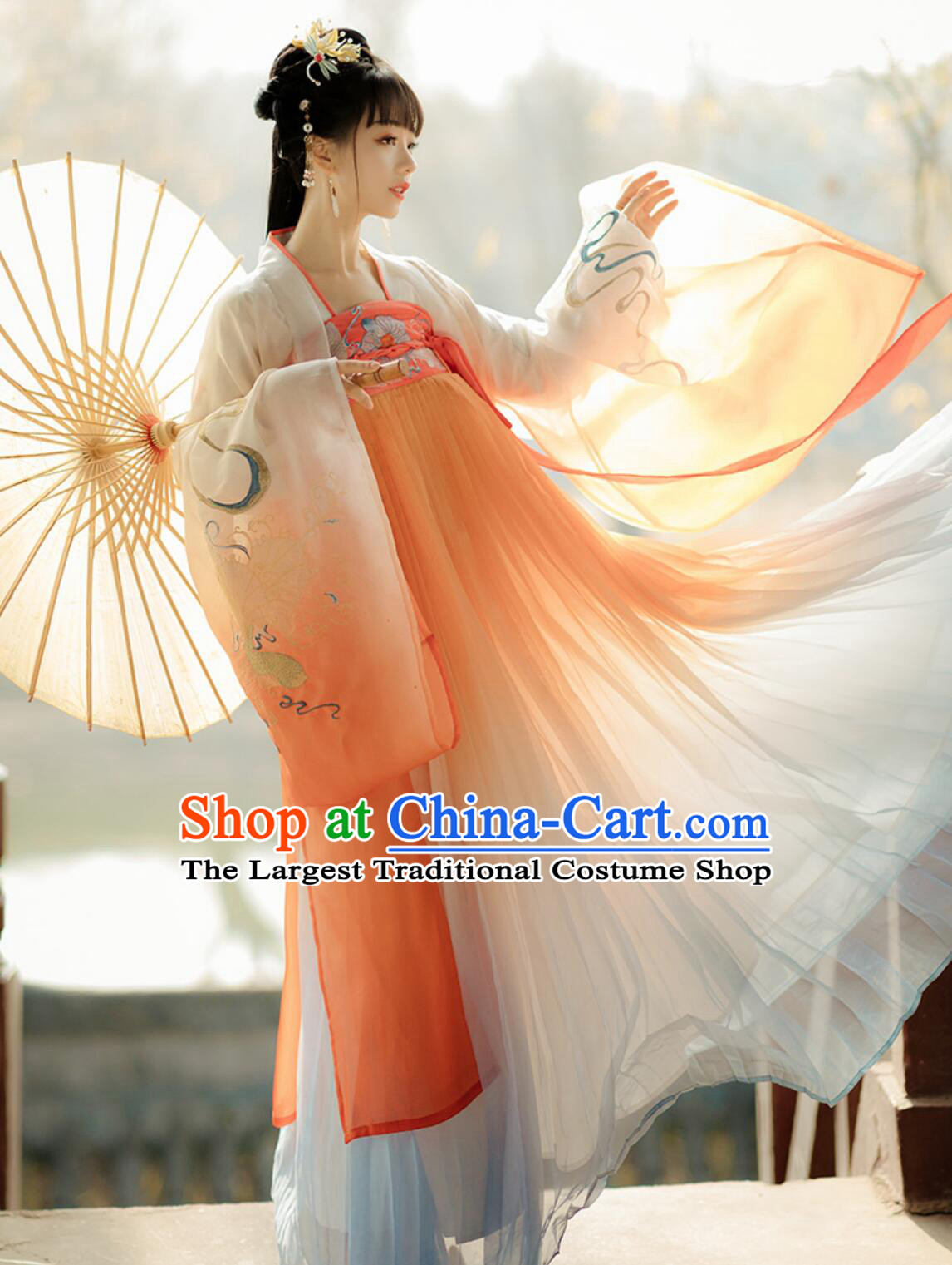 Traditional Chinese Clothing Tang Dynasty Princess Hanfu Dress Ancient China Young Lady Costume